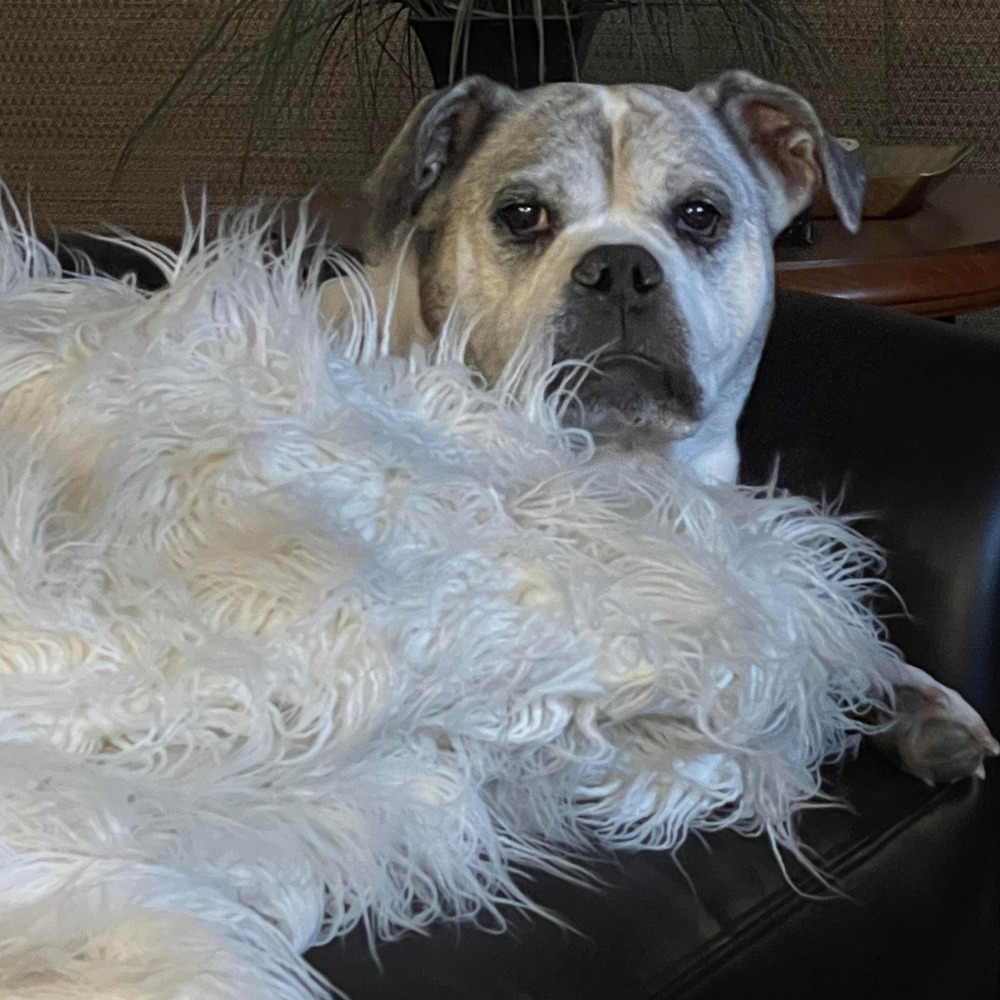 Meet your Posher, Arlyn